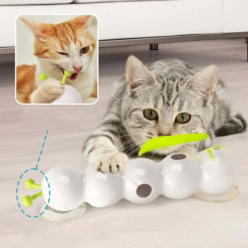 Interactive Cat Toy – Motion Activated Wack-A-Worm Post with Tail, Automatic Emerging Teaser for Cats