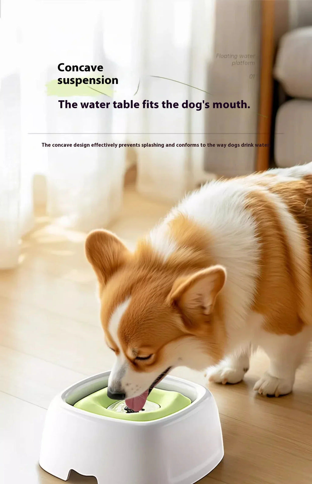 Spill-Proof Pet Water Bowl