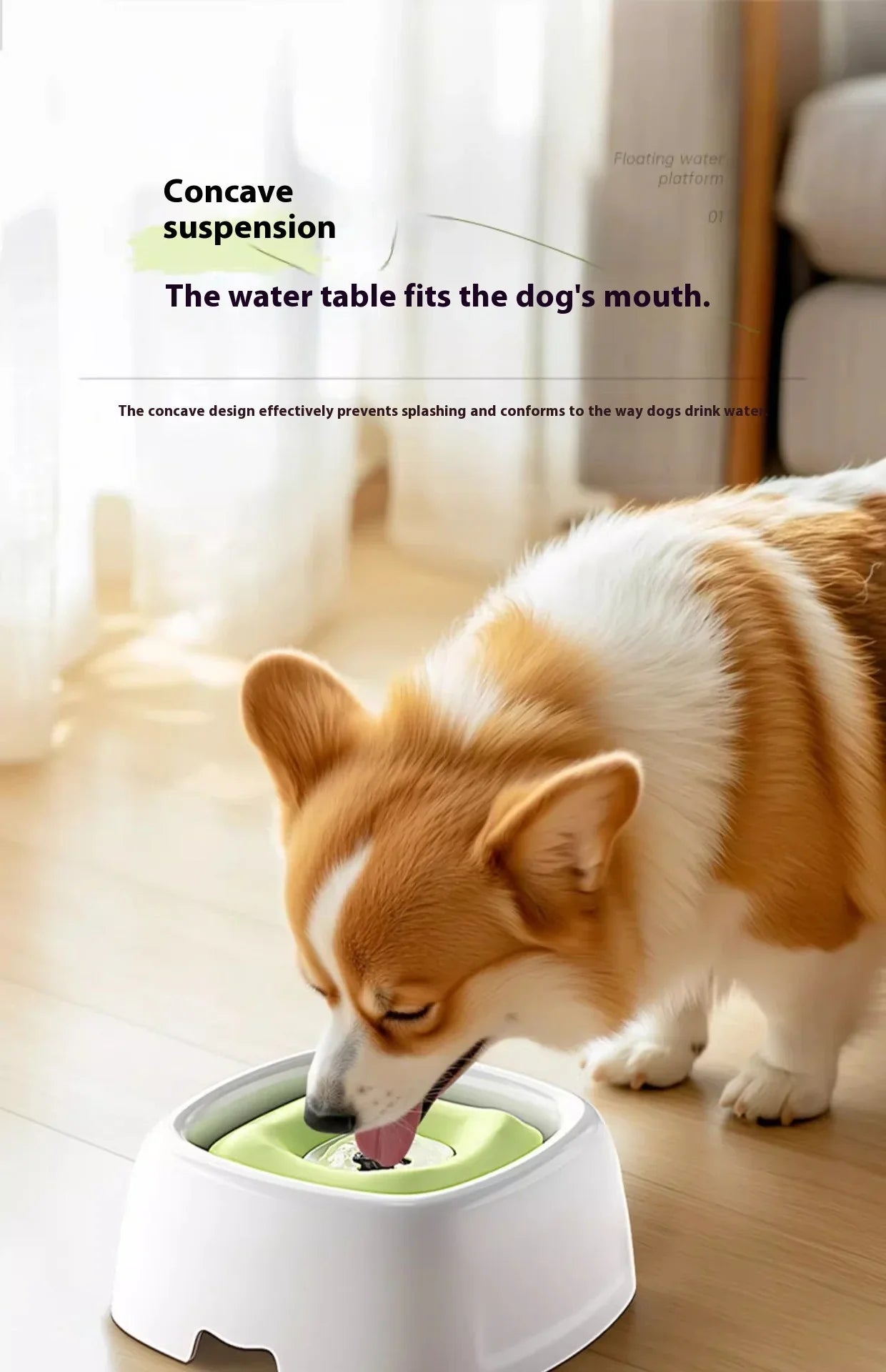 Spill-Proof Pet Water Bowl
