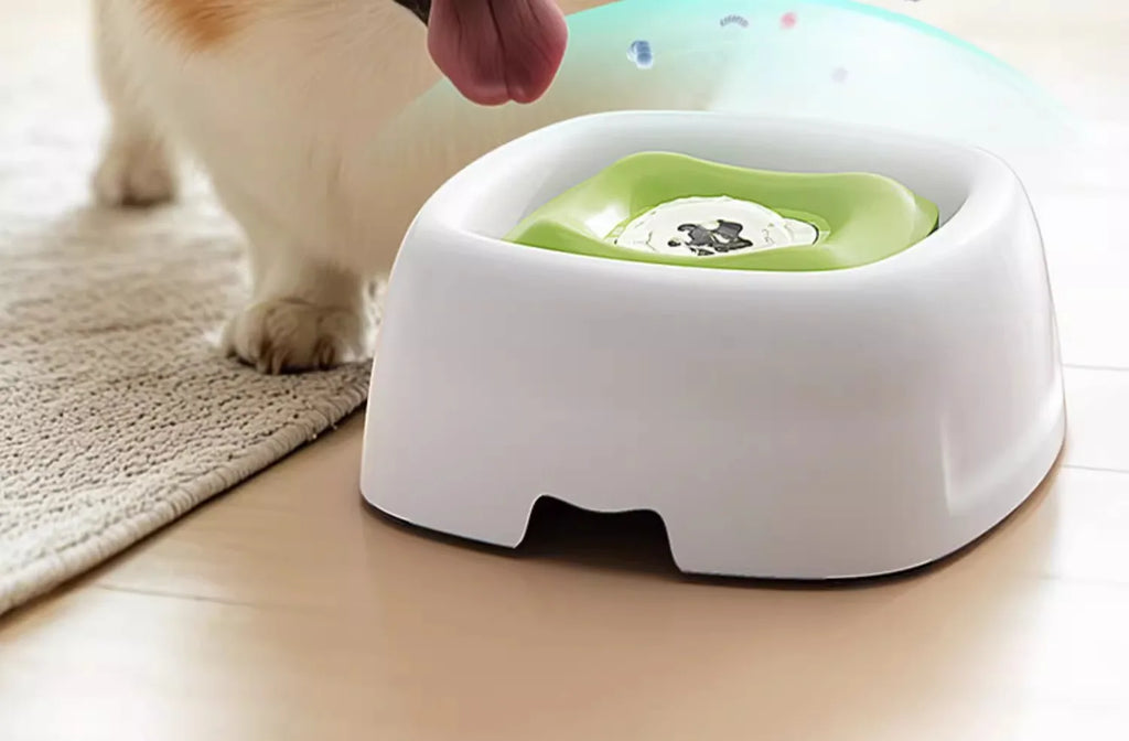 Spill-Proof Pet Water Bowl