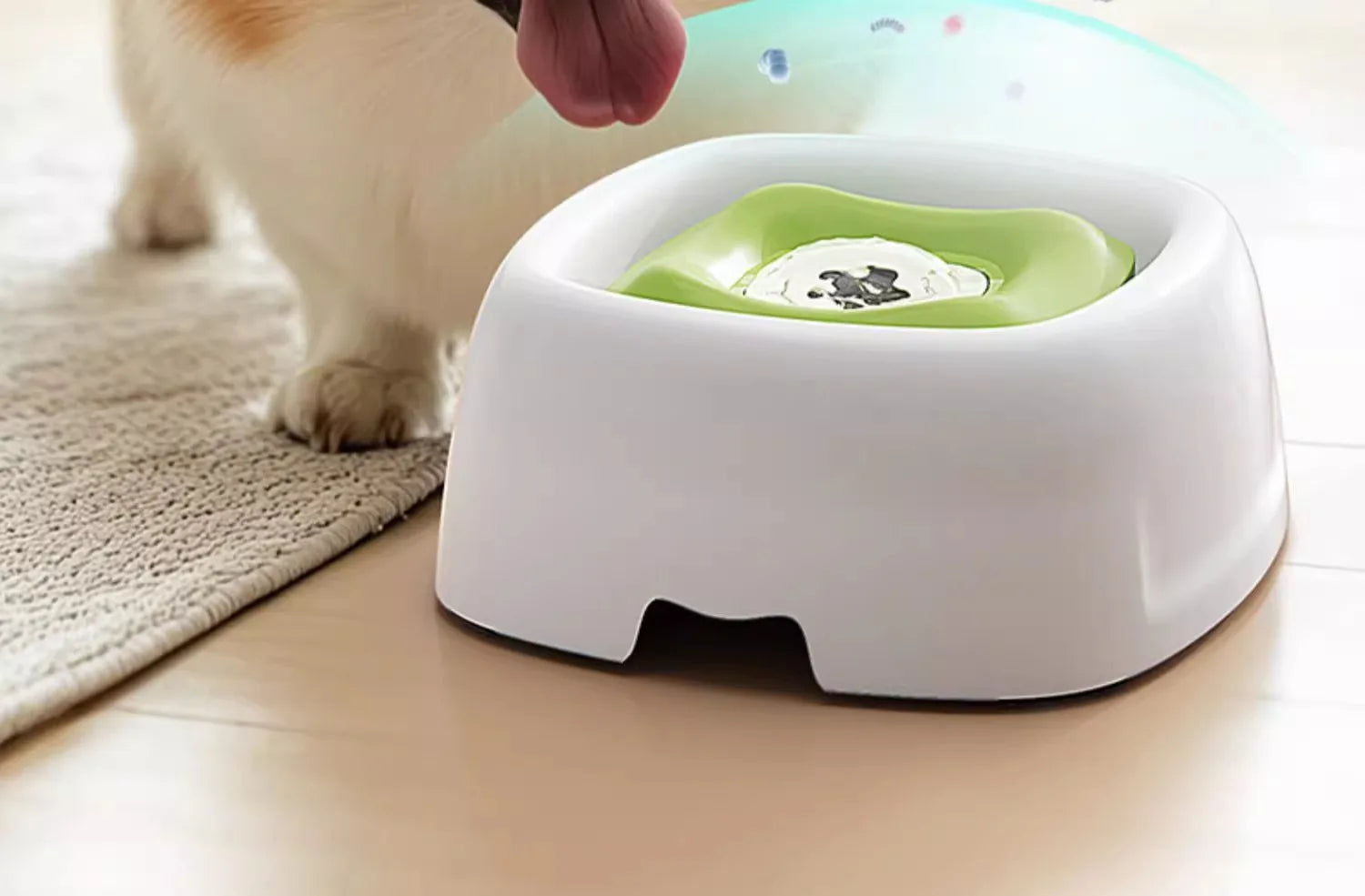 Spill-Proof Pet Water Bowl