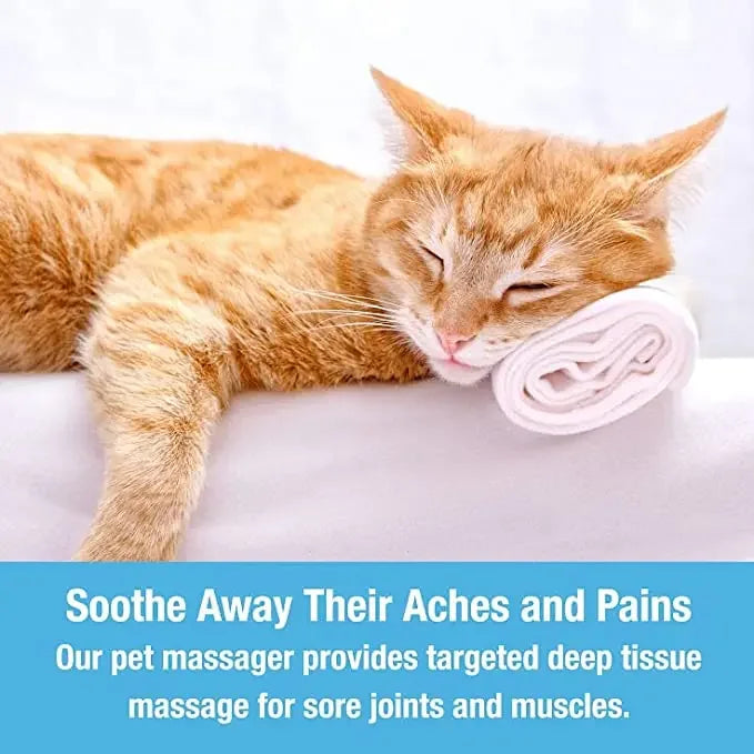 Electric Cat Massager – Stress Relief & Relaxation for Cats
