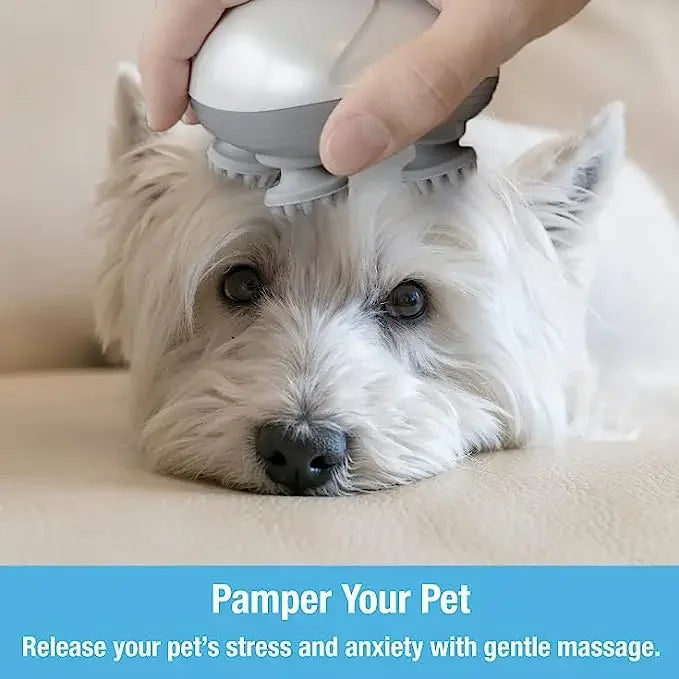 Electric Cat Massager – Stress Relief & Relaxation for Cats