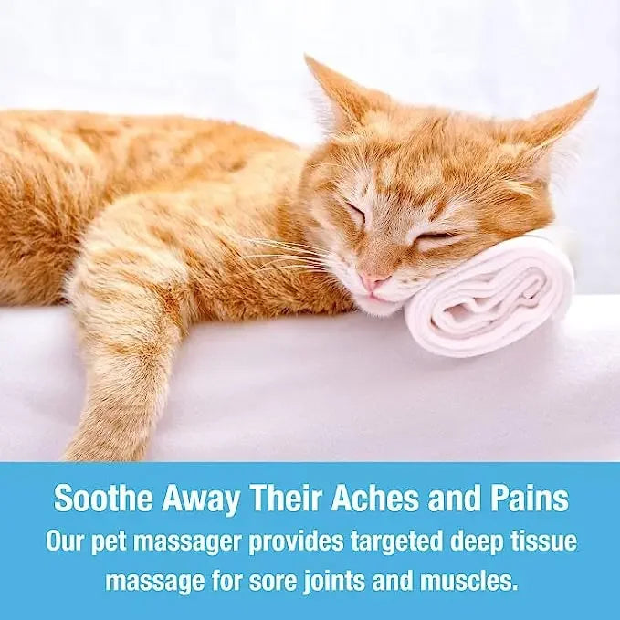 Electric Cat Massager – Stress Relief & Relaxation for Cats