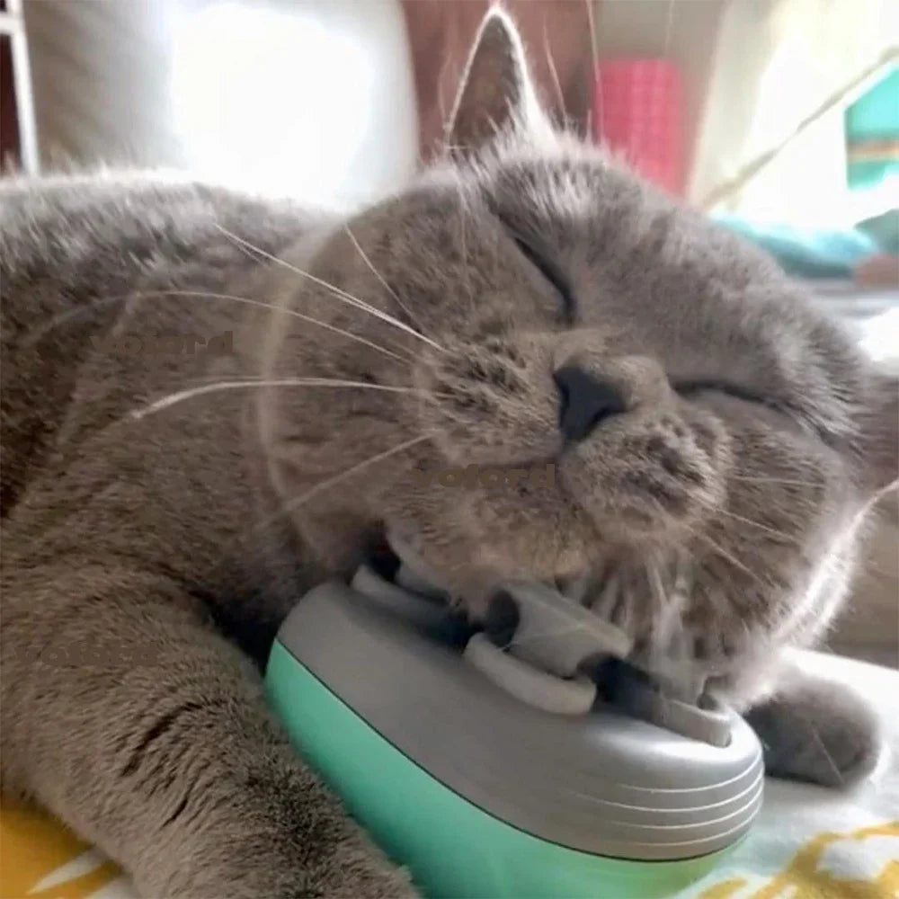 Electric Cat Massager – Stress Relief & Relaxation for Cats