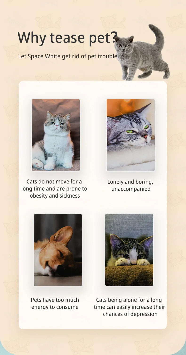 Hands-Free Laser Cat Toy – Rechargeable & Automatic for Active Play